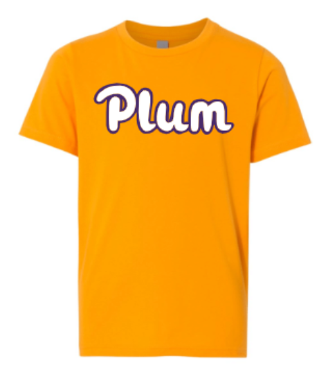 Next Levels T Shirt - Gold