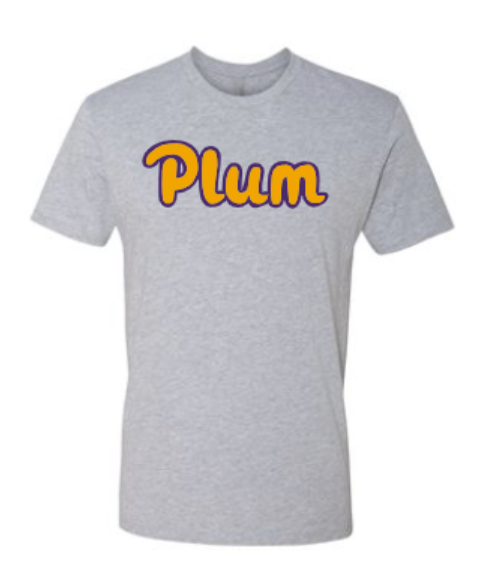 Next Levels T Shirt - Gray