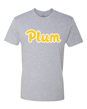 Next Levels T Shirt - Gray