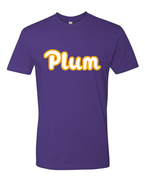 Next Levels T Shirt - Purple