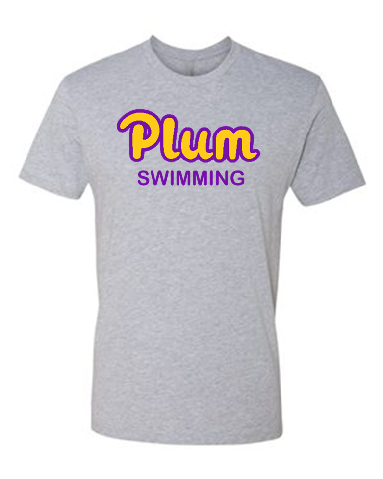 Next Level T-Shirt - Swim