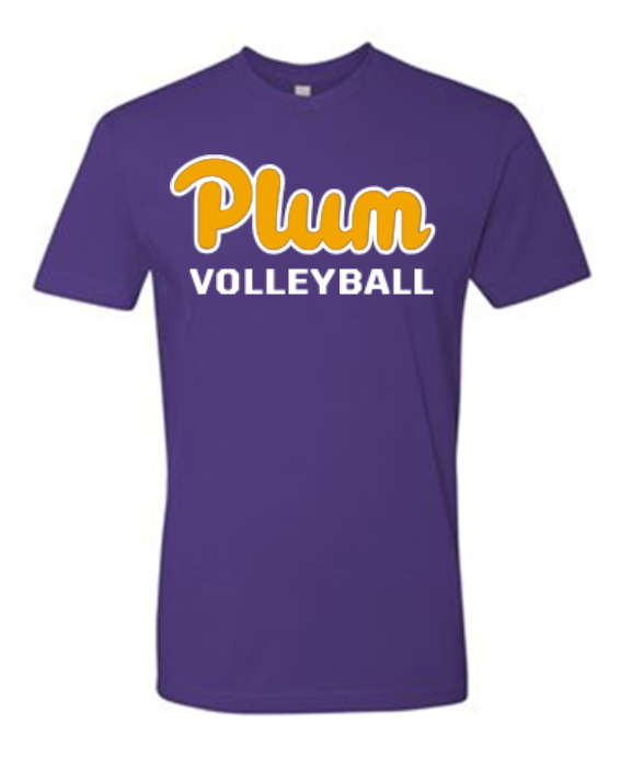Next Level T Shirt - Volleyball