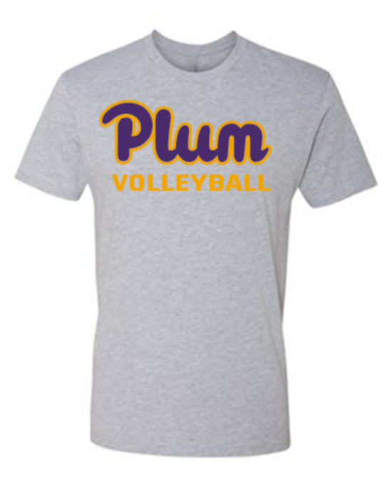 Next Level T Shirt - Volleyball
