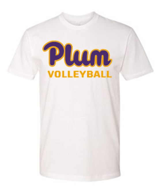 Next Level T Shirt - Volleyball