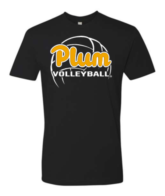 Next Level T Shirt - Volleyball