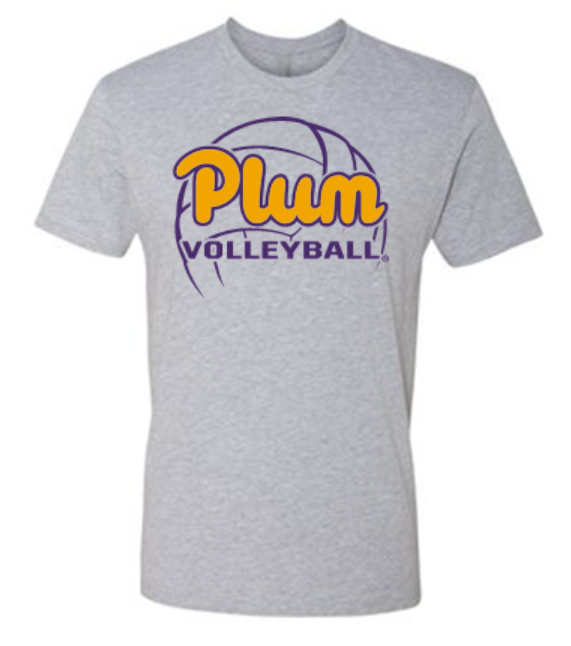 Next Level T Shirt - Volleyball