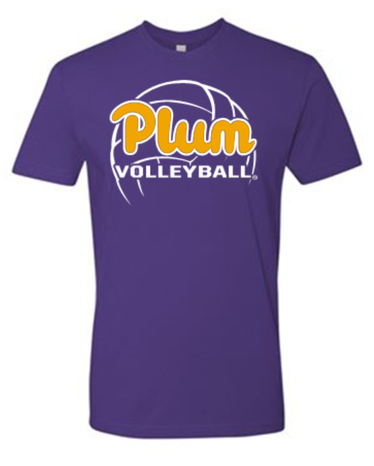 Next Level T Shirt - Volleyball