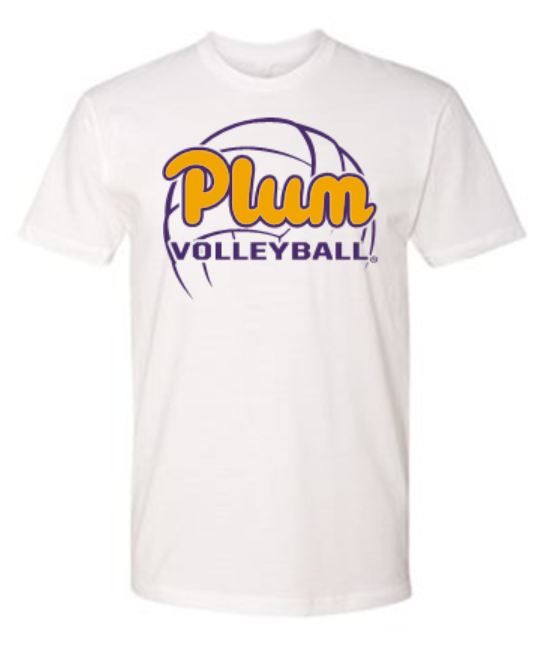 Next Level T Shirt - Volleyball