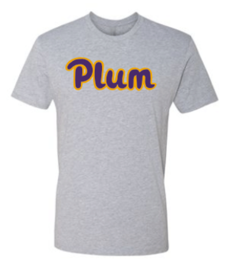 Next Levels T Shirt - Gray