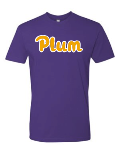 Next Levels T Shirt - Purple