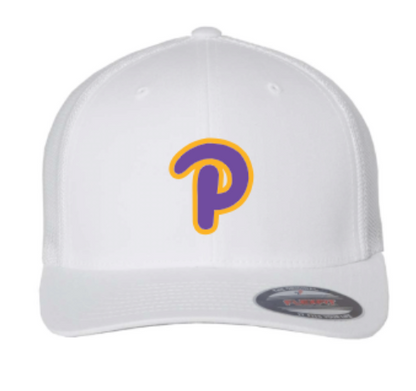 Plum "P" Hat