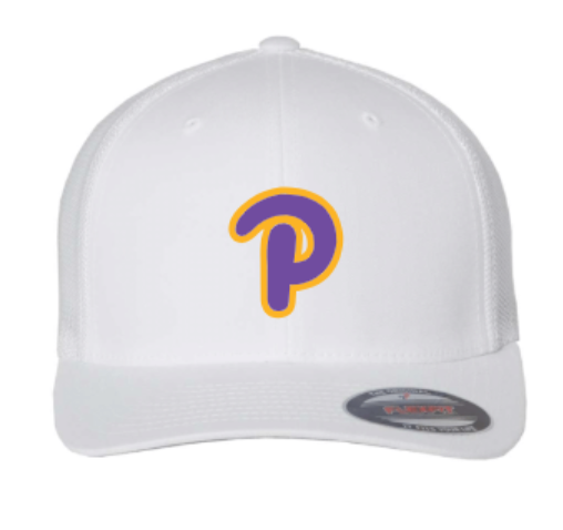 Plum "P" Hat