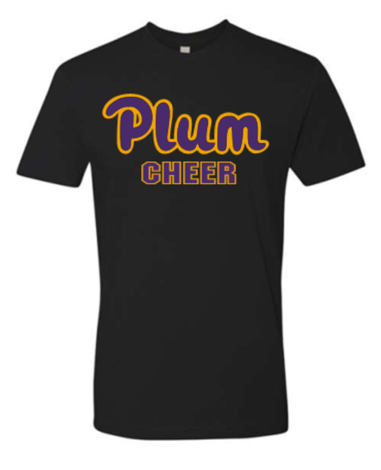 Next Level T Shirt - Cheer