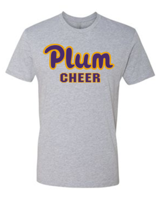Next Level T Shirt - Cheer