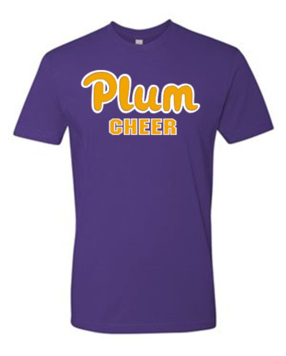 Next Level T Shirt - Cheer