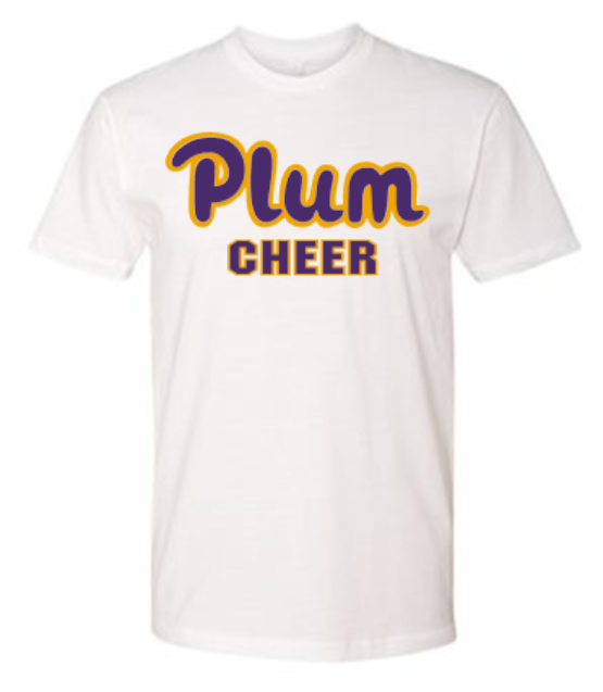 Next Level T Shirt - Cheer