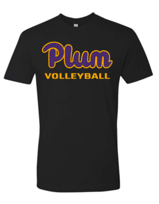 Next Level T Shirt - Volleyball